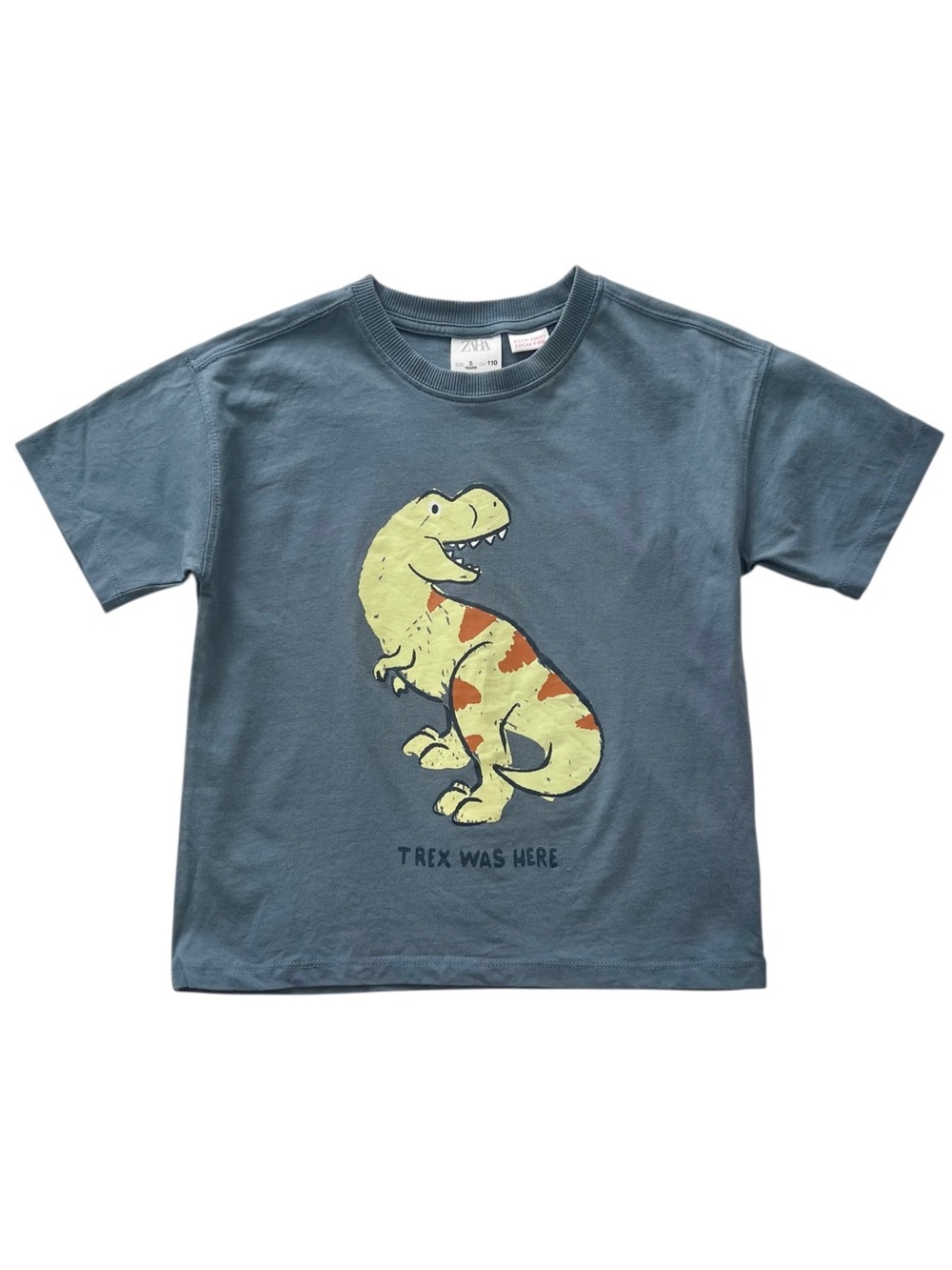 Zara kids size 5Y T-Rex tee